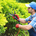 découvrez les outils essentiels pour un jardin impeccable avec notre guide complet. apprenez à entretenir votre espace vert efficacement et facilement.