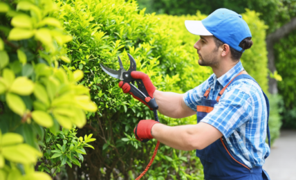 découvrez les outils essentiels pour un jardin impeccable avec notre guide complet. apprenez à entretenir votre espace vert efficacement et facilement.