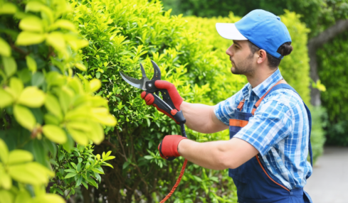 découvrez les outils essentiels pour un jardin impeccable avec notre guide complet. apprenez à entretenir votre espace vert efficacement et facilement.