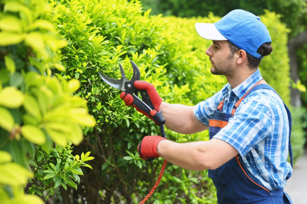 découvrez les outils essentiels pour un jardin impeccable avec notre guide complet. apprenez à entretenir votre espace vert efficacement et facilement.