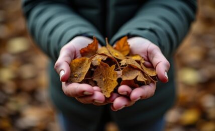 Guide pratique pour déboucher et entretenir vos gouttières encombrées de feuilles avant l'arrivée de l'hiver